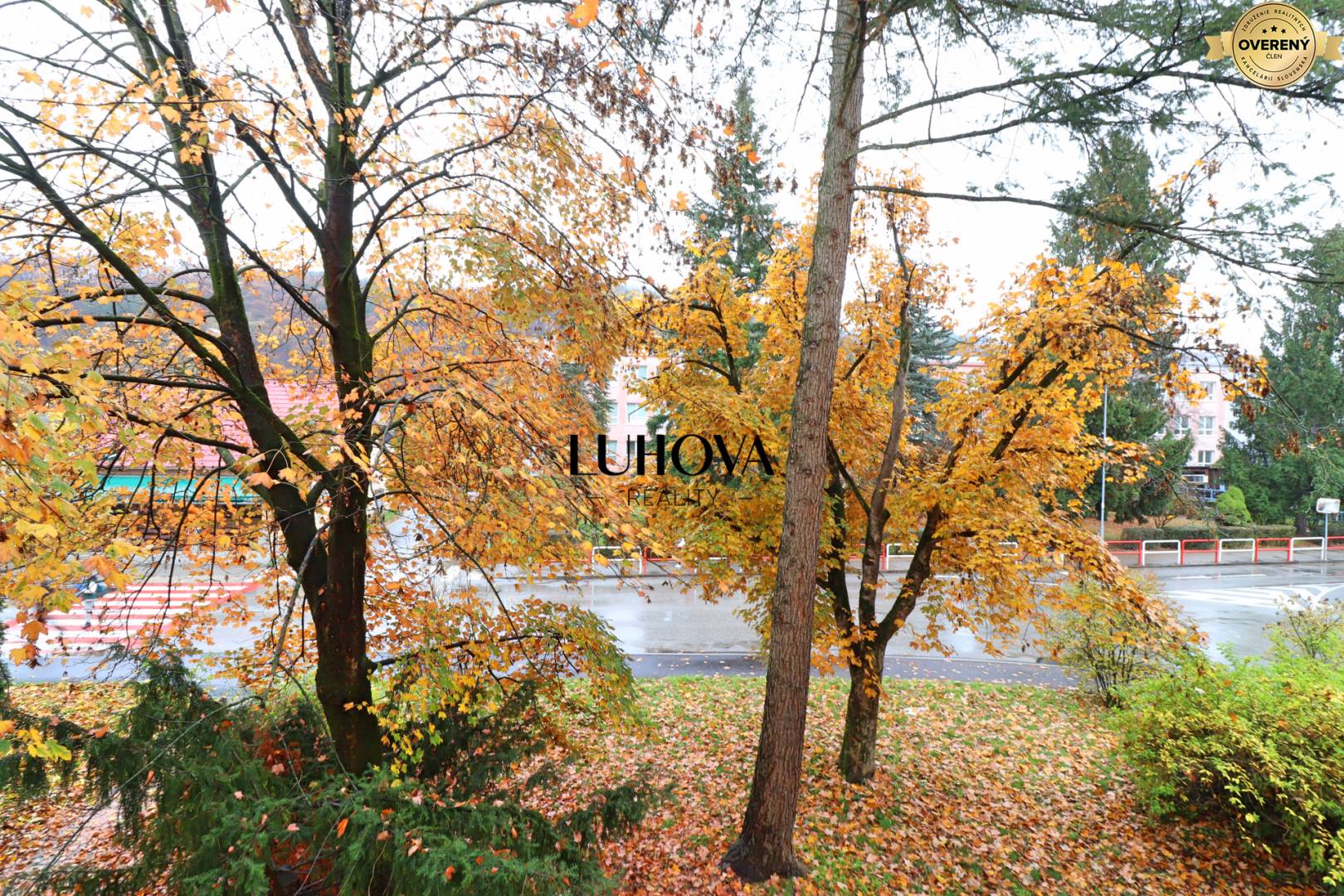 LUHOVA reality_17.jpg