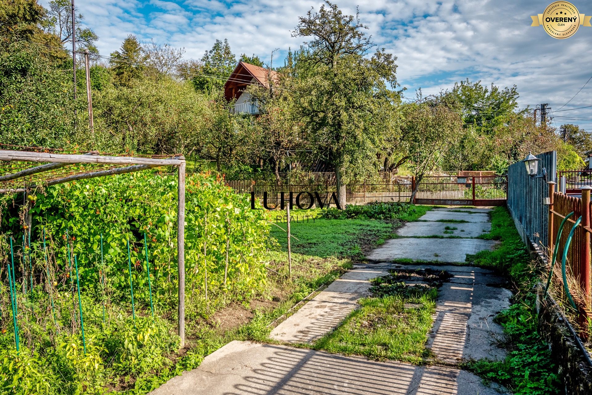 DSC07567(1)_1.jpg