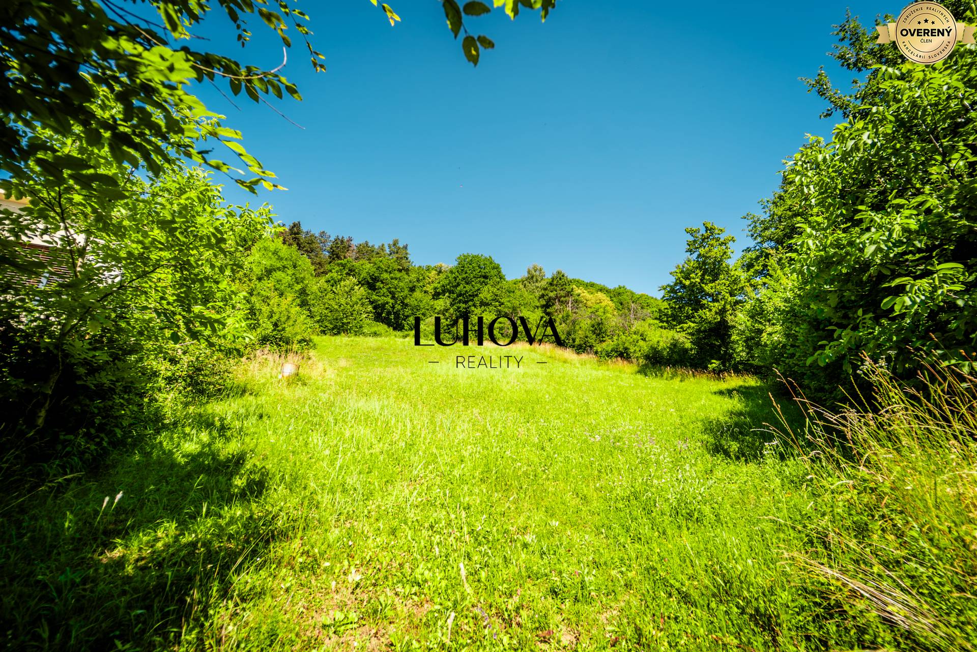 LUHOVA reality_5.jpg