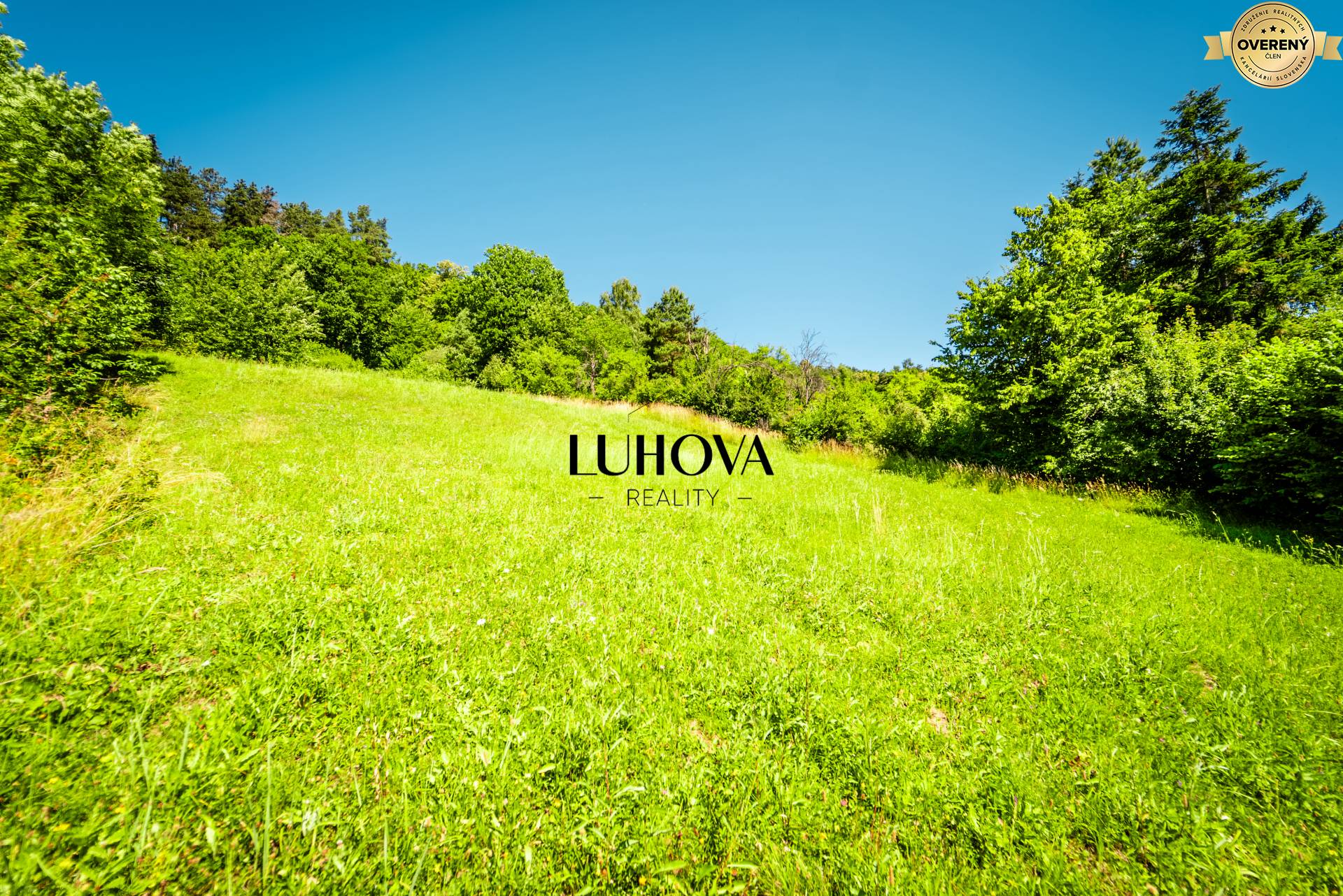 LUHOVA reality_6.jpg