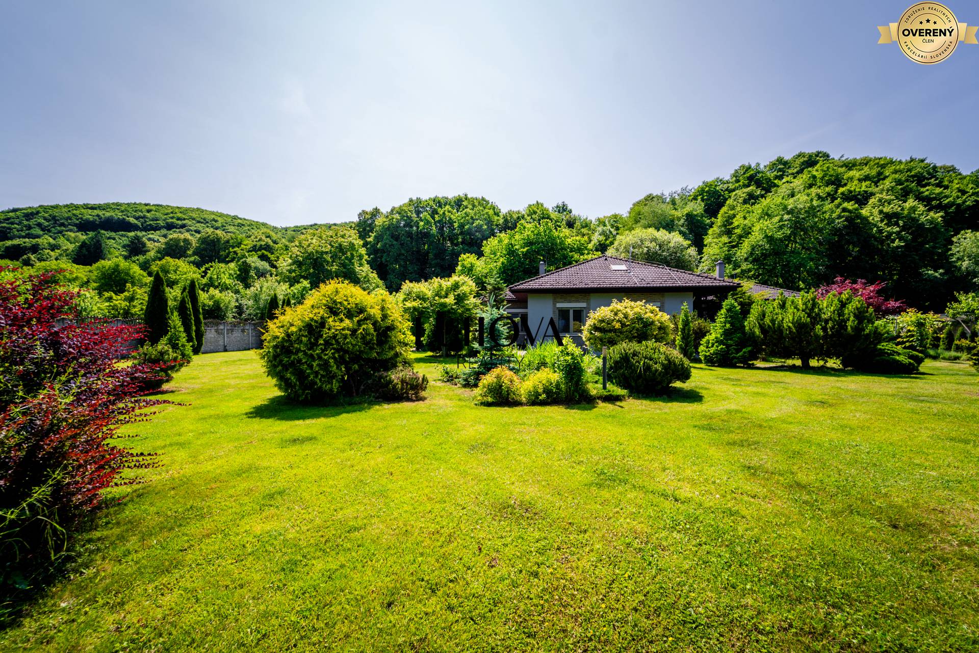 LUHOVA reality_28.jpg