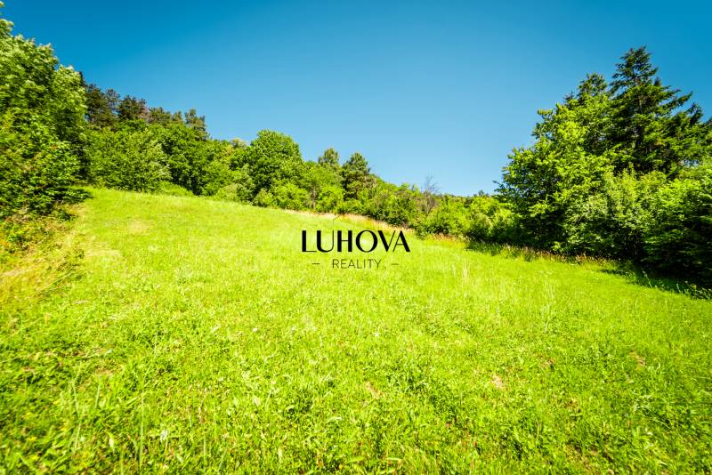 LUHOVA reality_6.jpg
